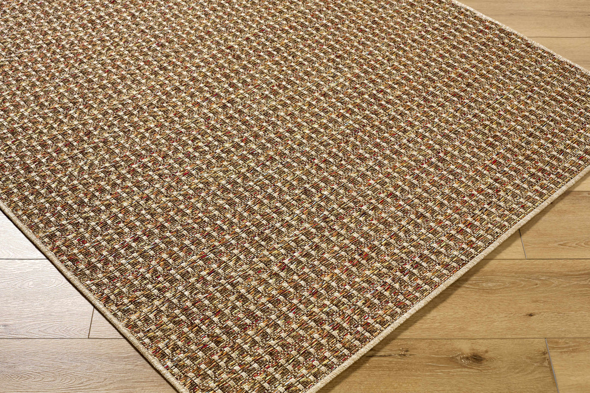 Ataret Burnt Sienna Outdoor Area Rug