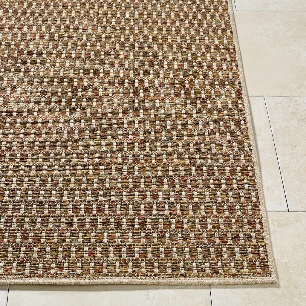 Ataret Burnt Sienna Outdoor Area Rug
