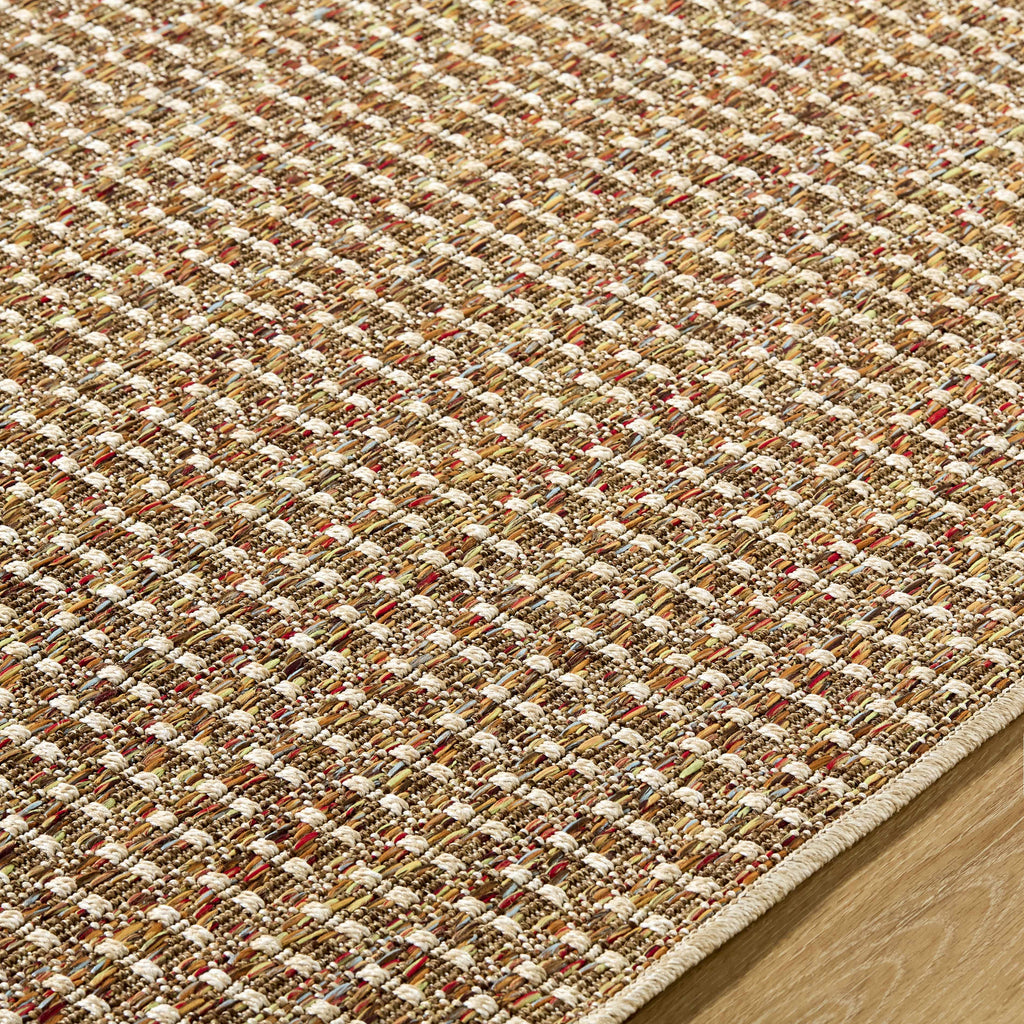 Ataret Burnt Sienna Outdoor Area Rug