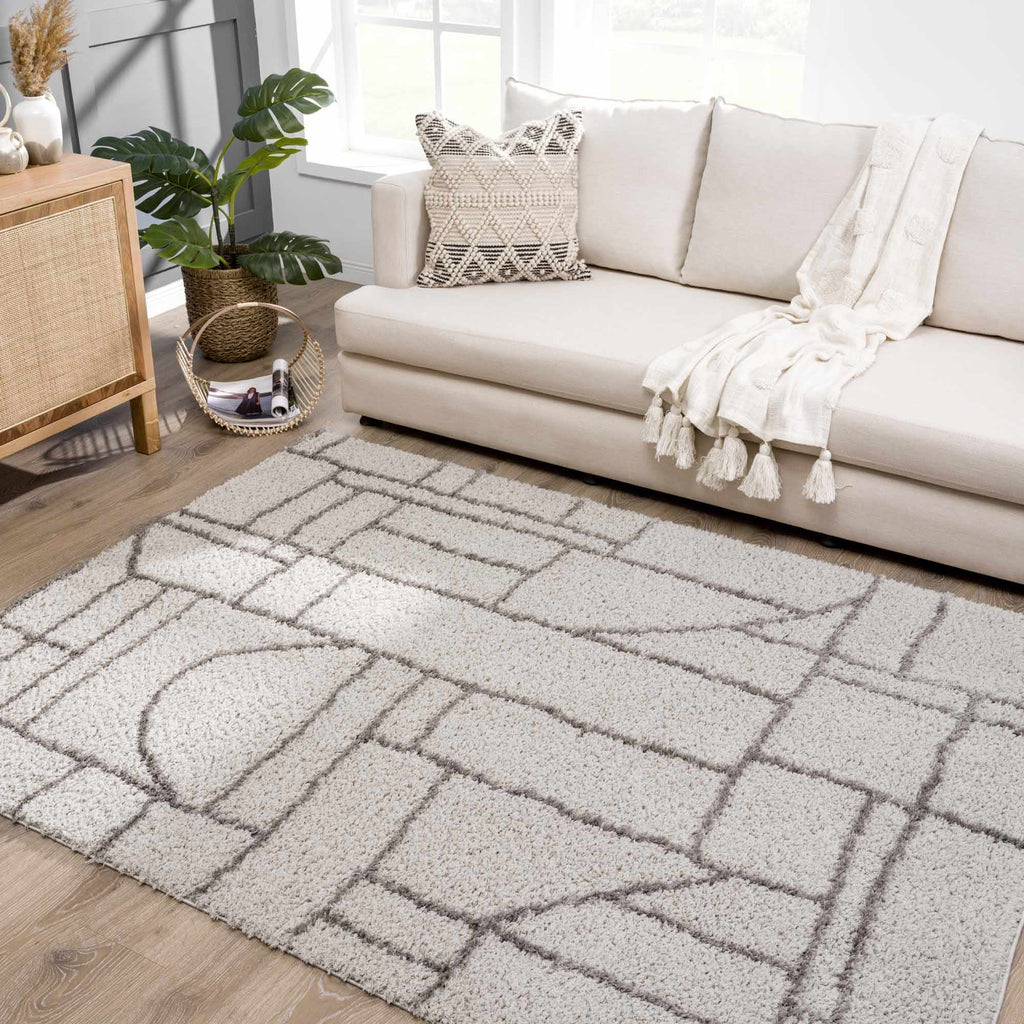 Andia Gray Area Rug - Clearance