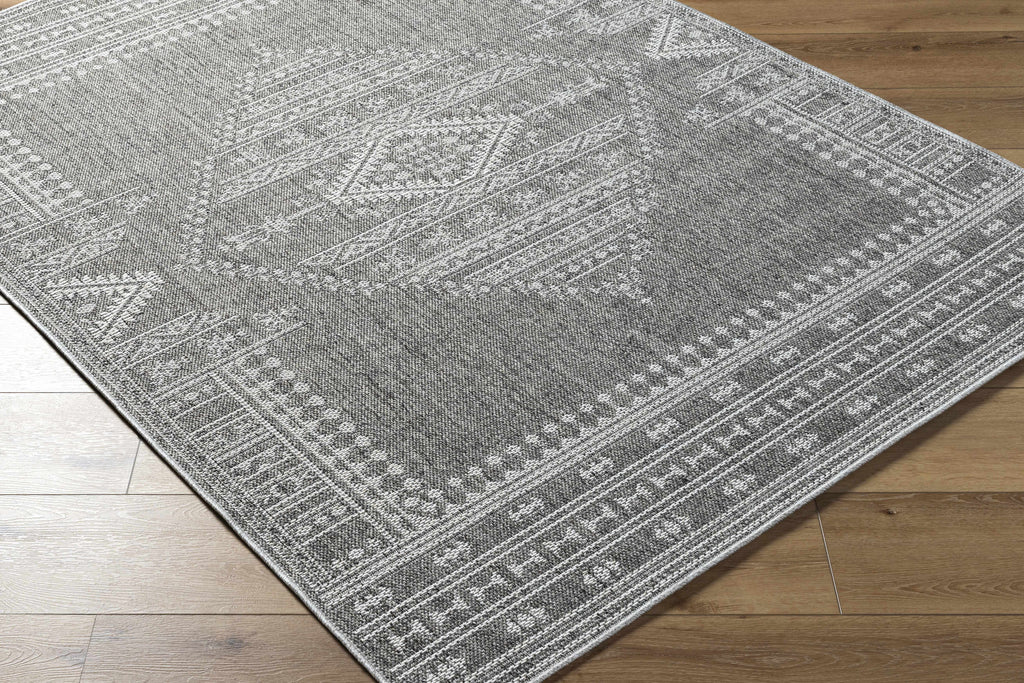 Asuman Outdoor Area Rug - Clearance