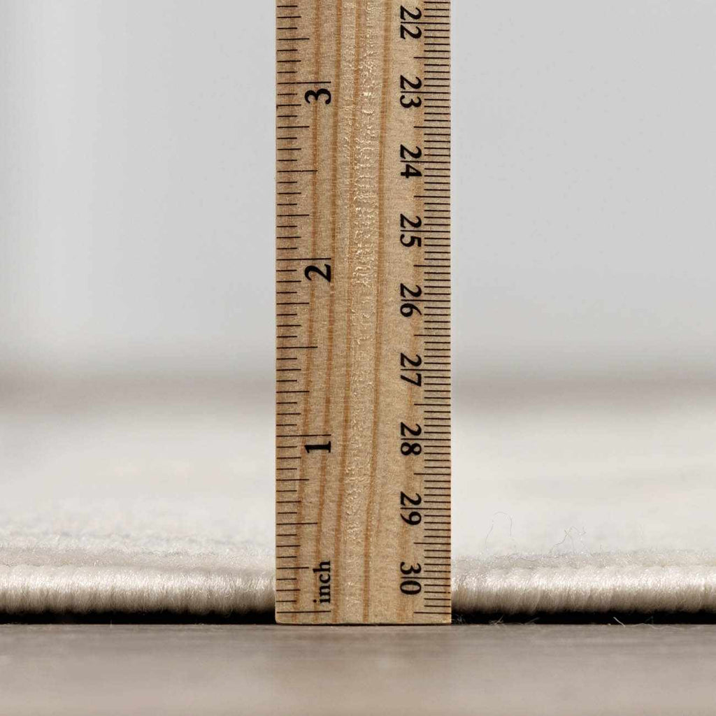 Lascassas Neutral Area Rug - Clearance