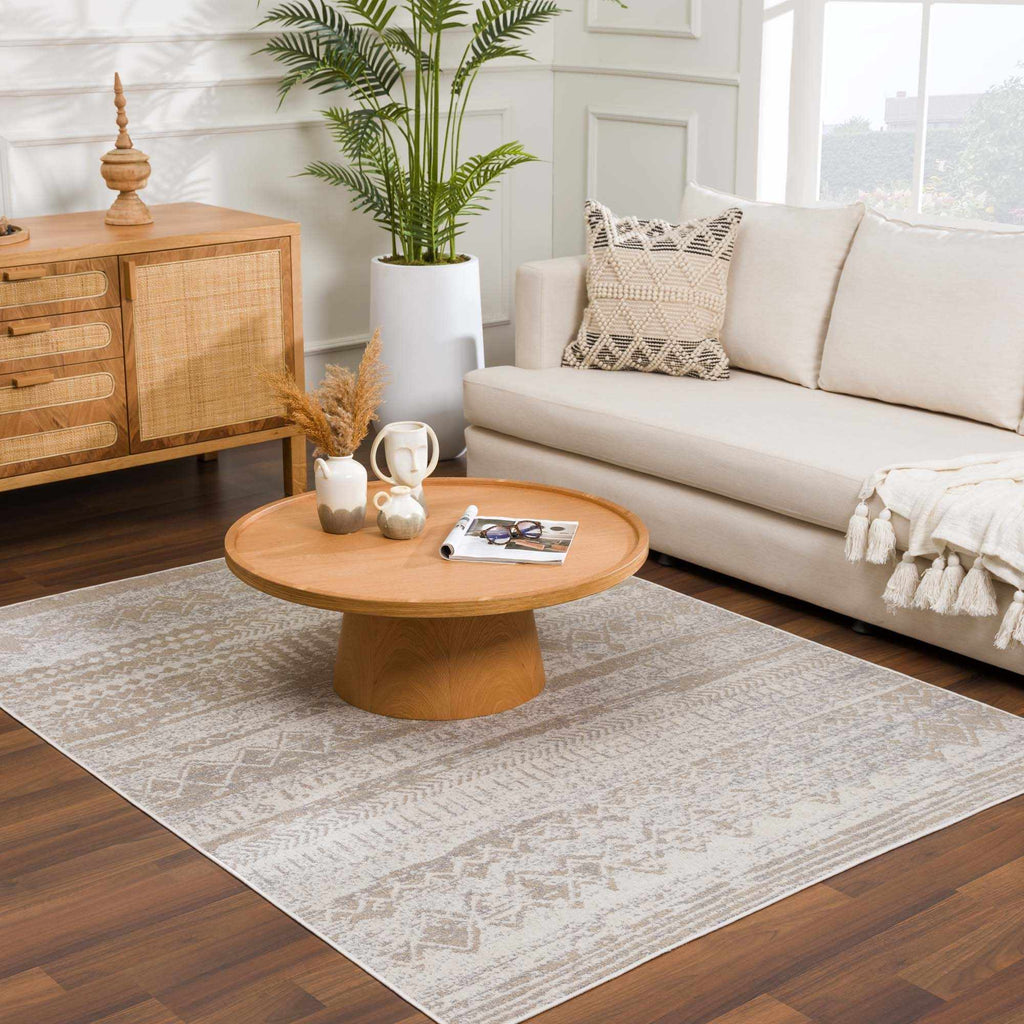Tupsan Washable Area Rug - Clearance