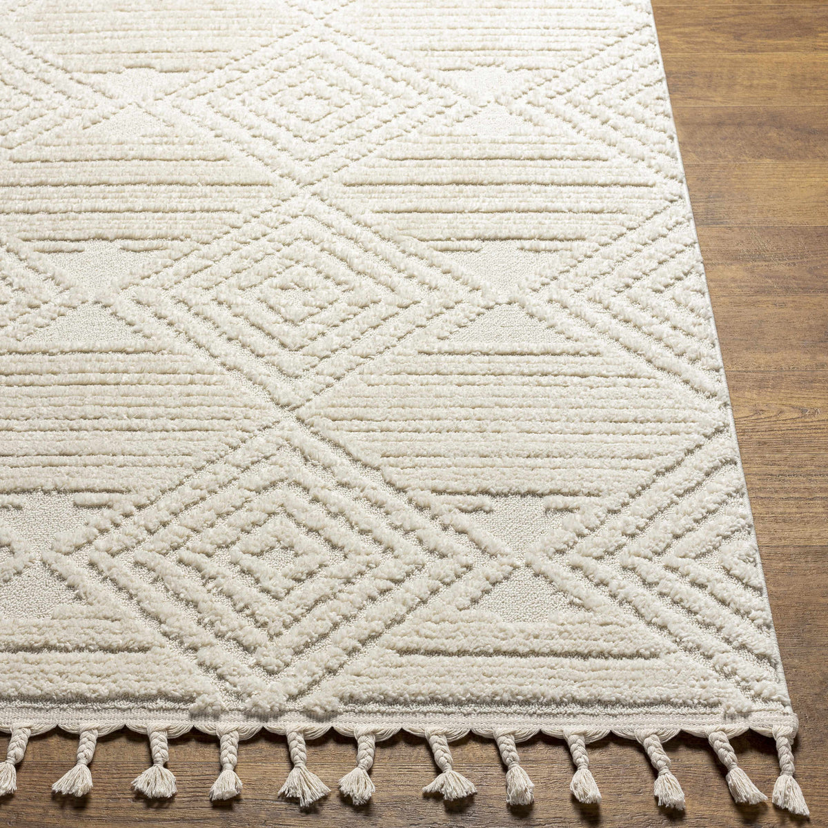 Manyas 3D Bone Area Rug with Tassels - Clearance