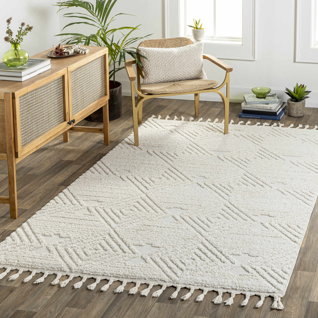 Manyas 3D Bone Area Rug with Tassels - Clearance