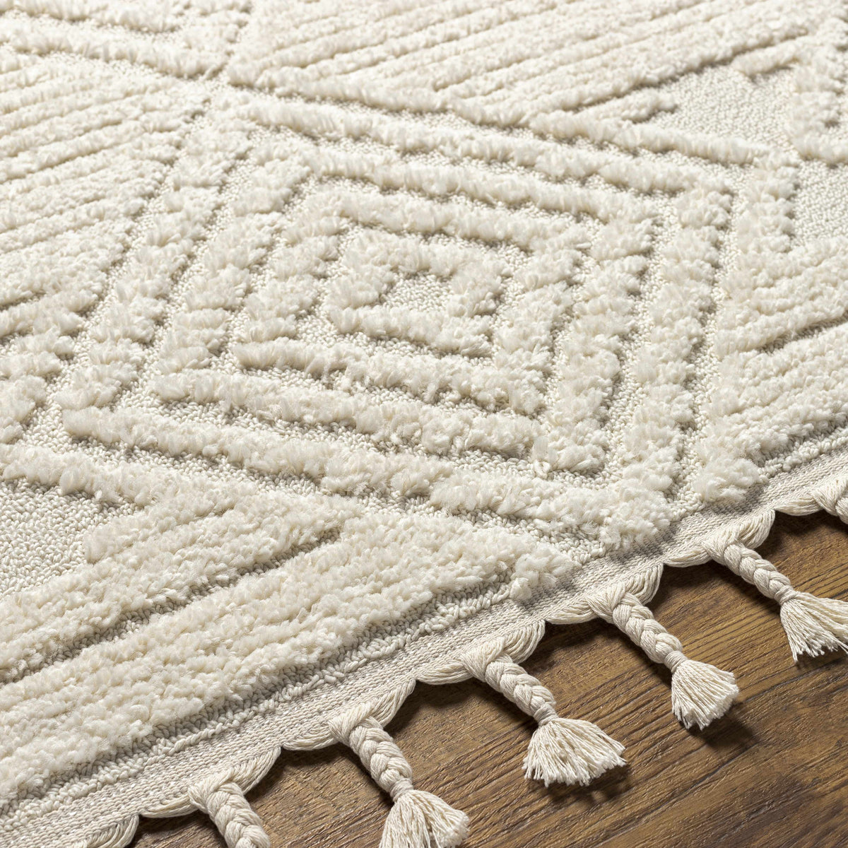 Manyas 3D Bone Area Rug with Tassels - Clearance