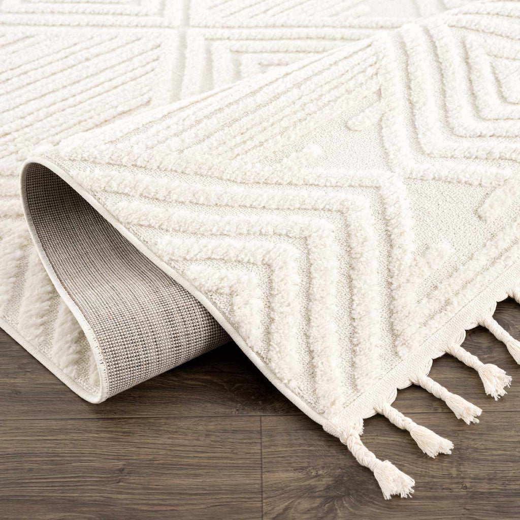 Manyas 3D Bone Area Rug with Tassels - Clearance