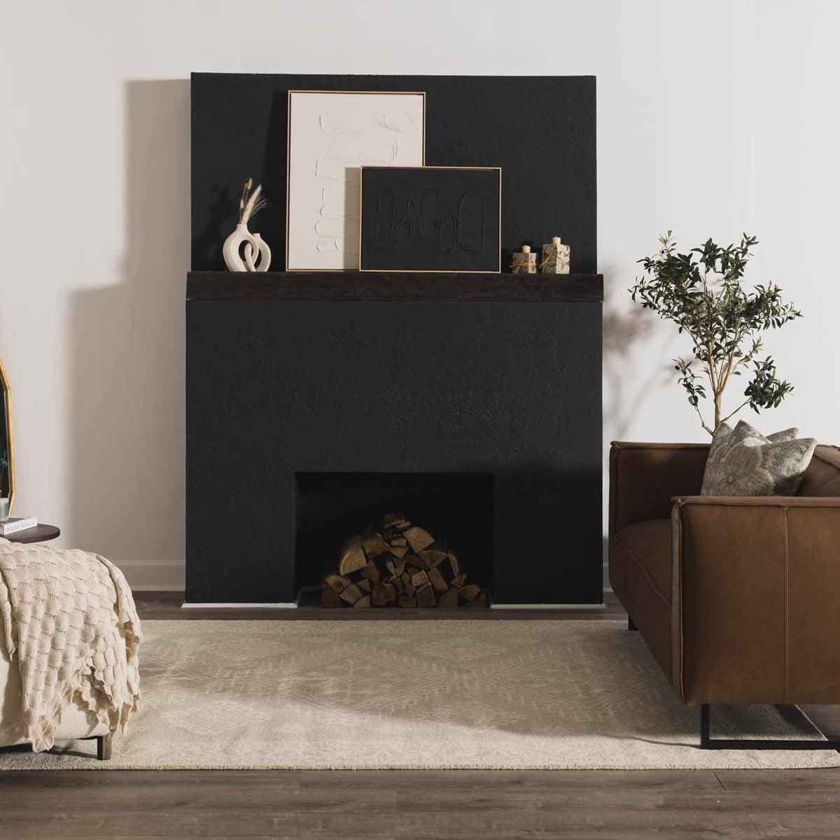 Paloma Area Rug