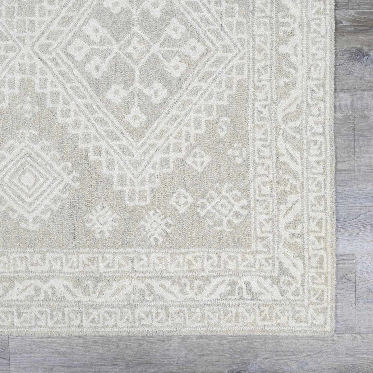 Paloma Area Rug