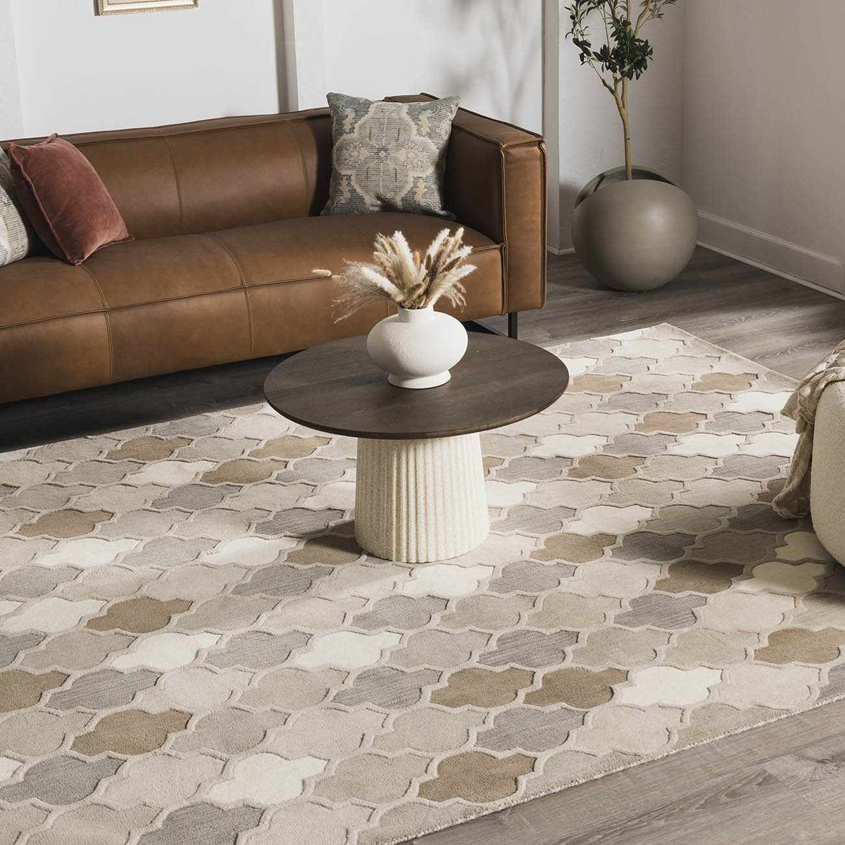 Paron Area Rug - Clearance