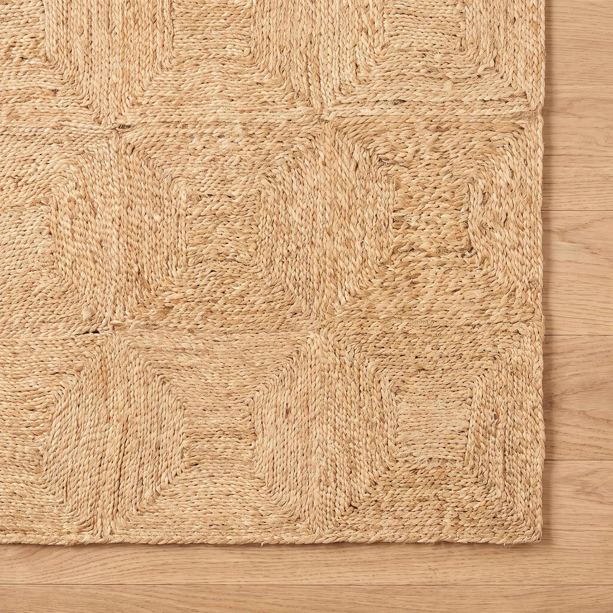 Donagh Brown Geometric Area Rug