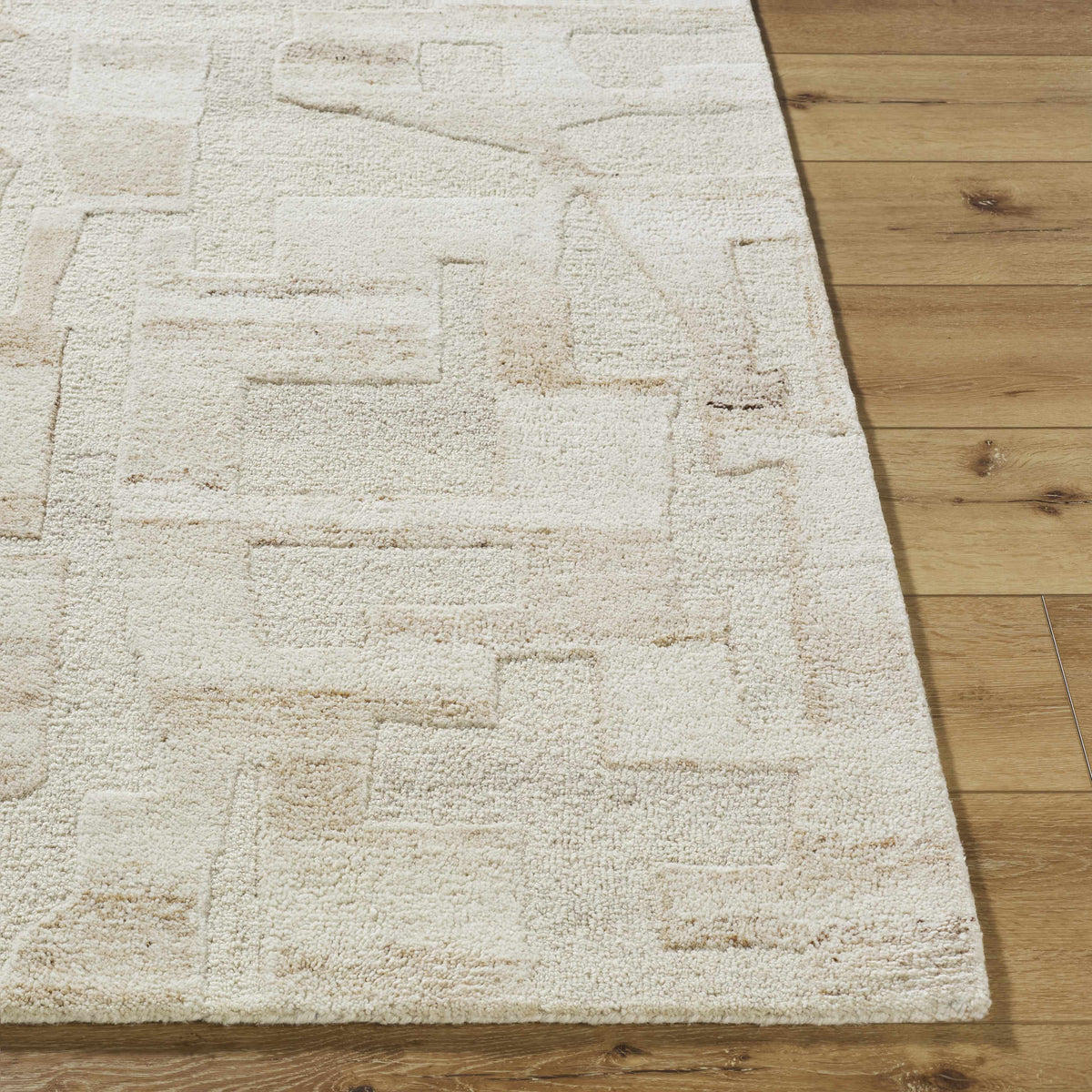 Aintza Area Rug