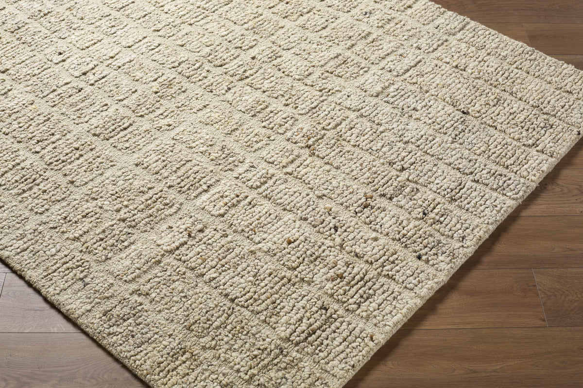 Asahel Ivory Area Rug
