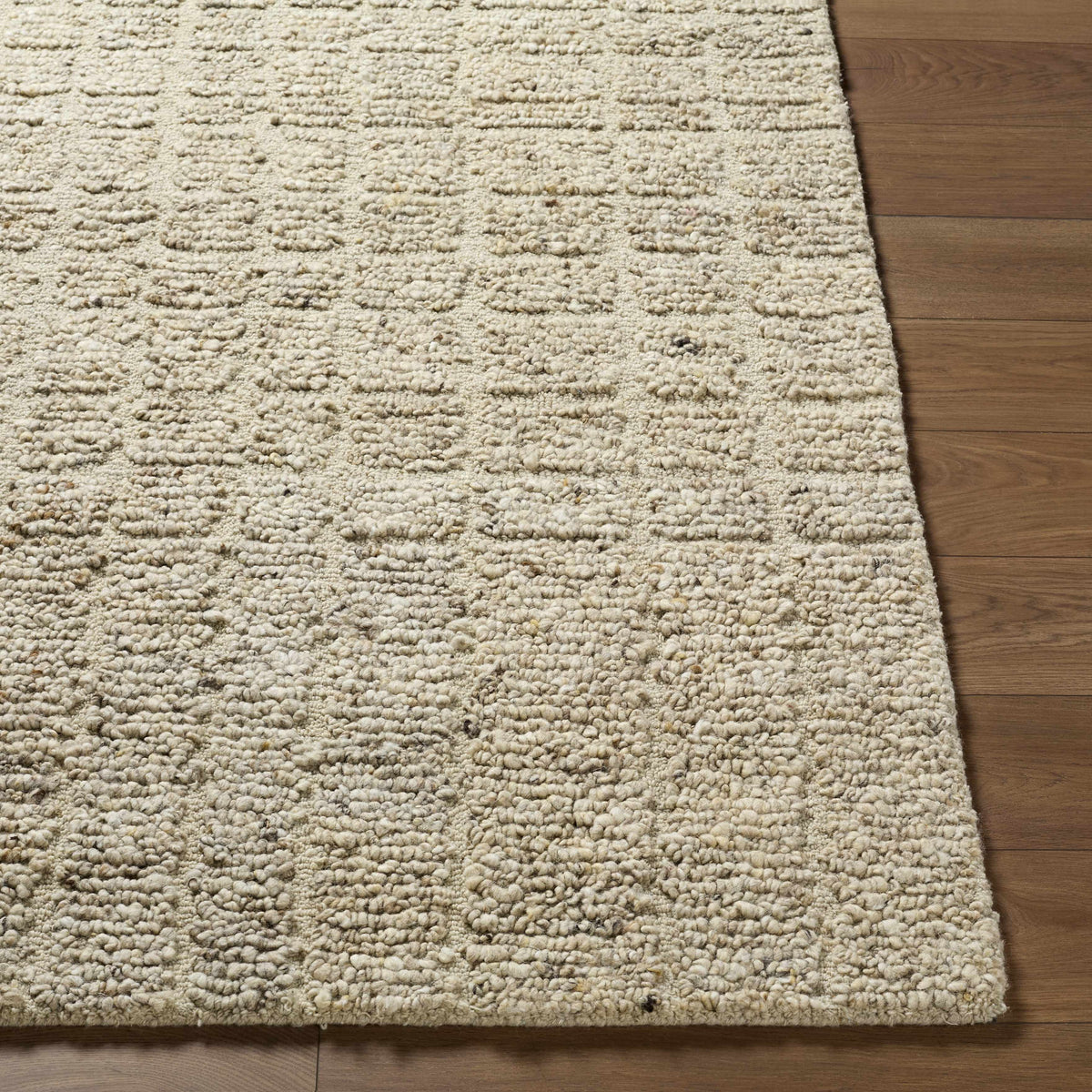 Asahel Ivory Area Rug