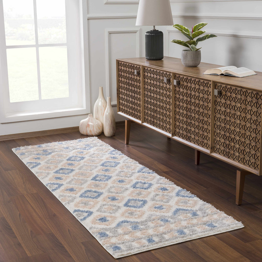 Eivin Pink & Blue Area Rug - Clearance