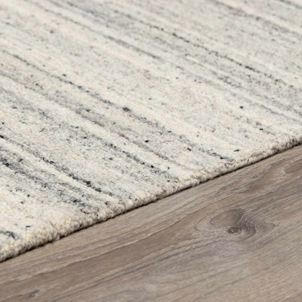 Capote Charcoal Area Rug