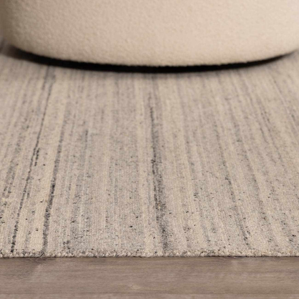 Capote Charcoal Area Rug