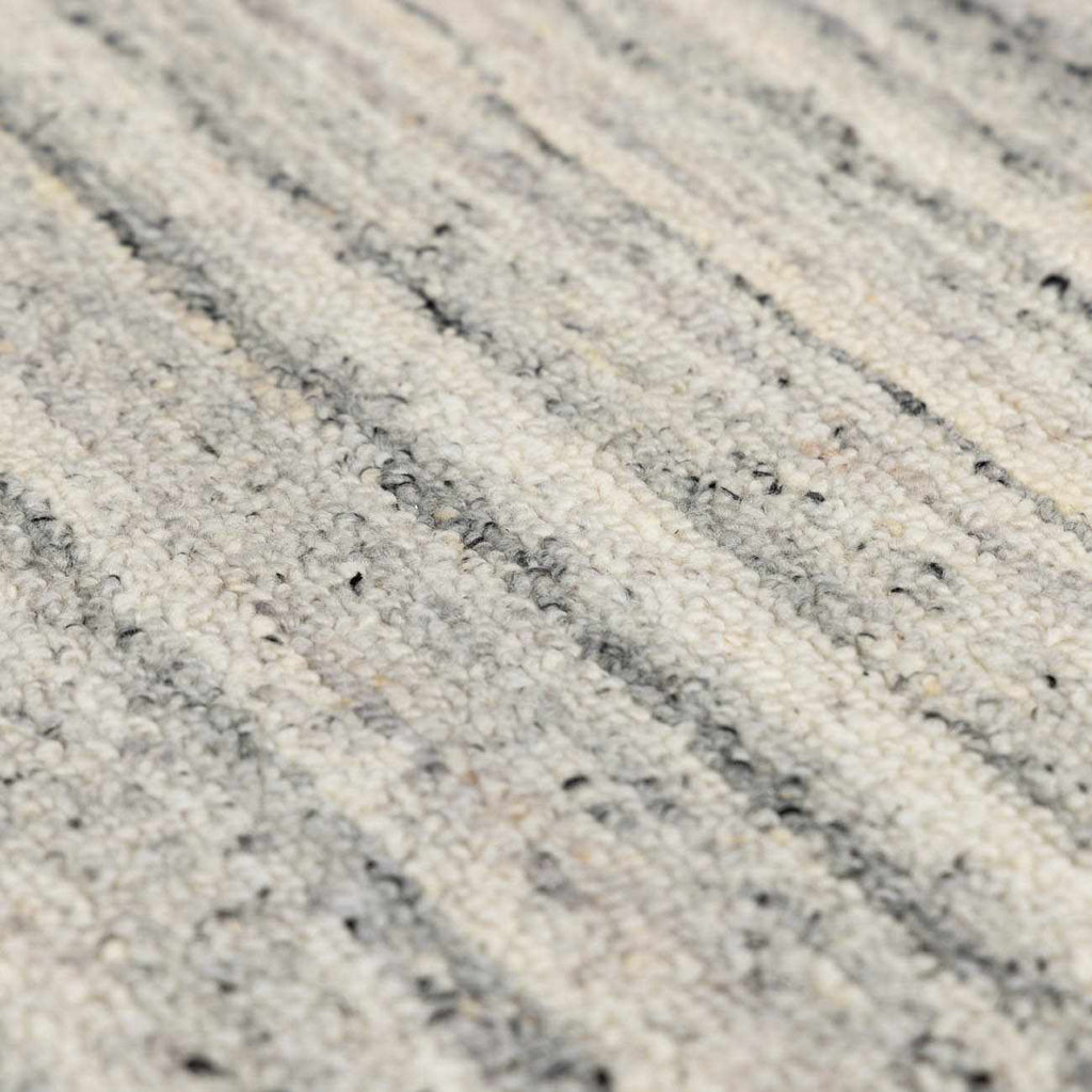 Capote Charcoal Area Rug