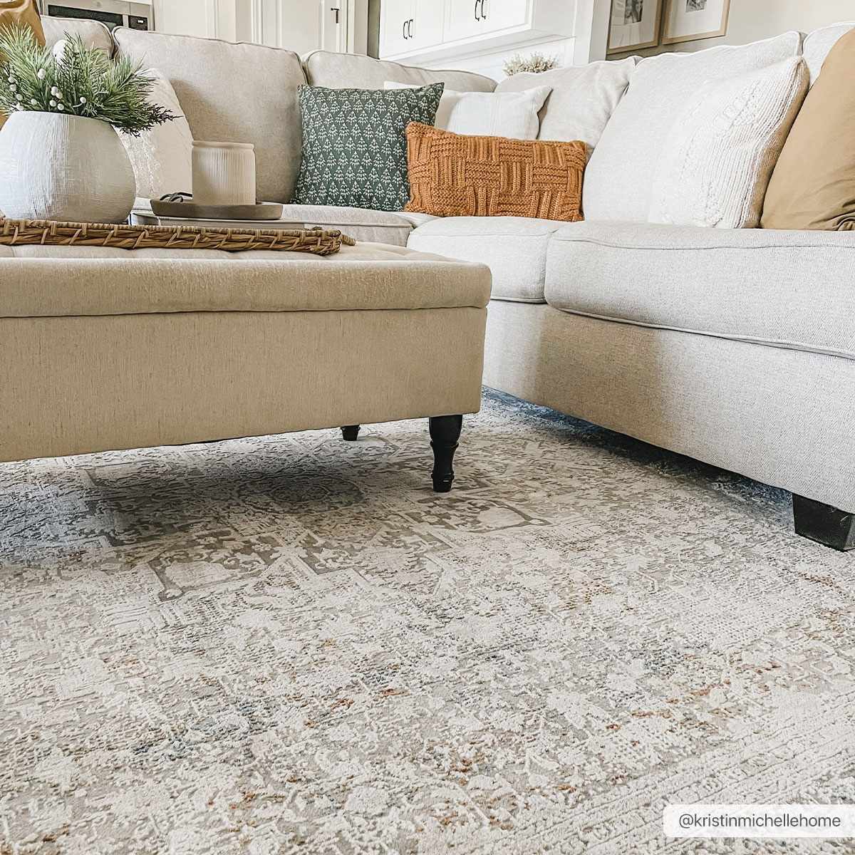 Eley Traditional Area Rug - Clearance