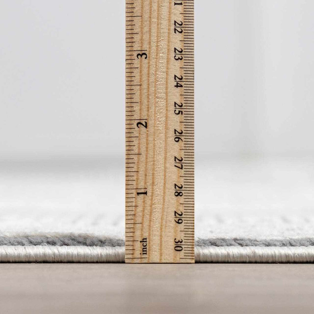 Ayano Plush Textured Washable Rug