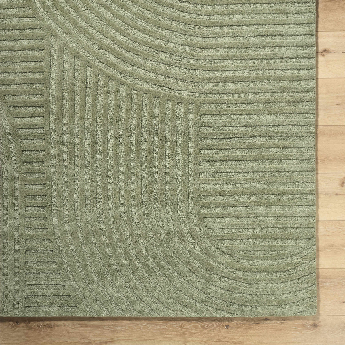 Whan Sage Area Rug
