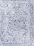 Nadia Silver Gray Area Rug - Clearance