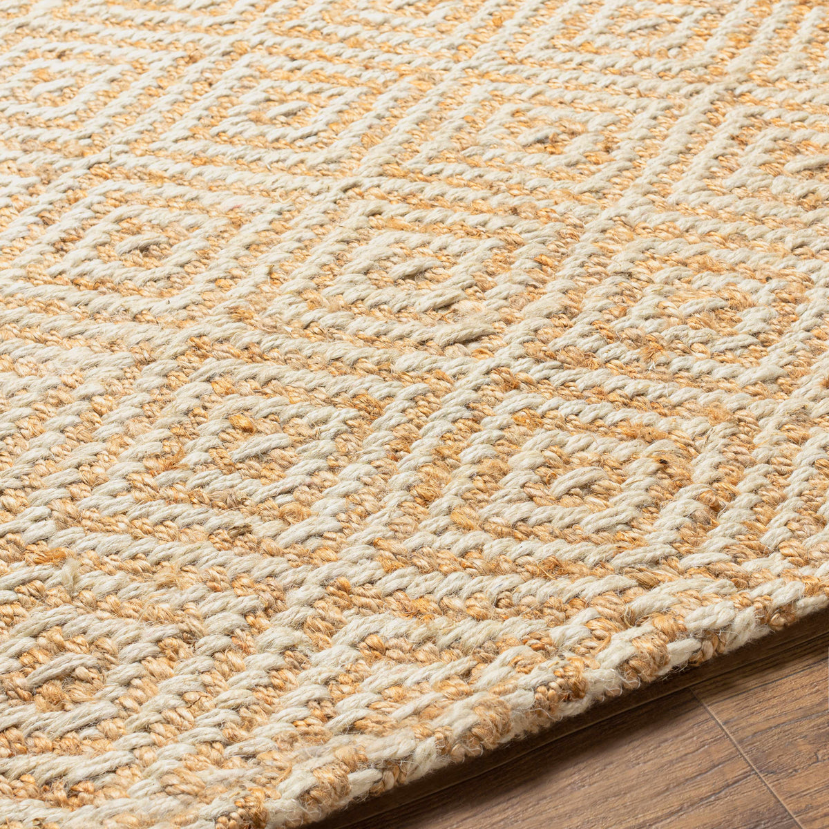 Eriko Area Rug - Clearance