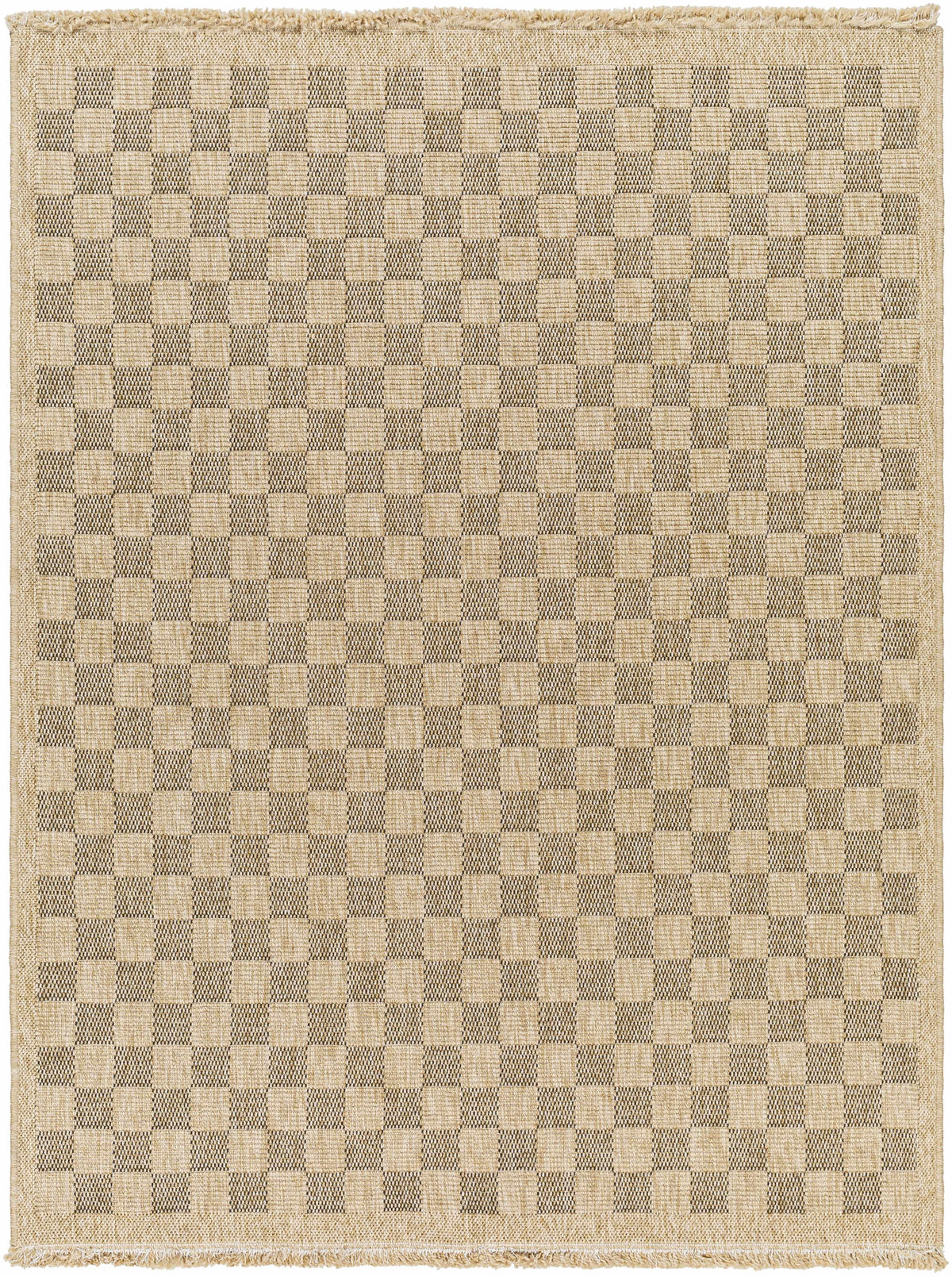 Jurek Beige & Brown Checkered Outdoor Area Rug