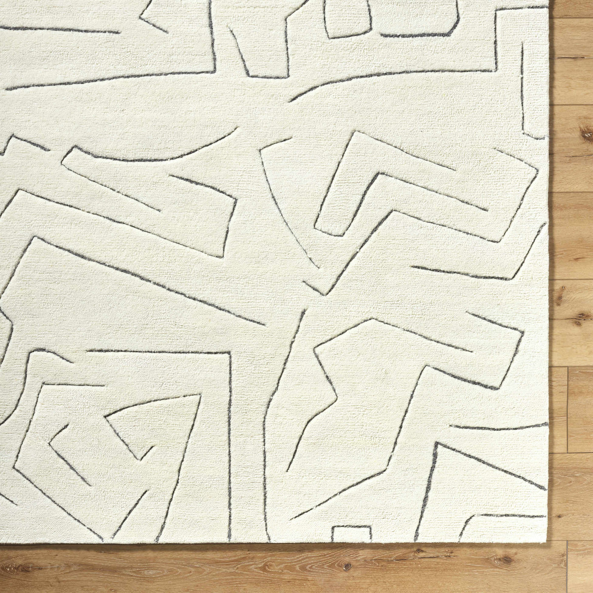 Mony Charcoal Area Rug
