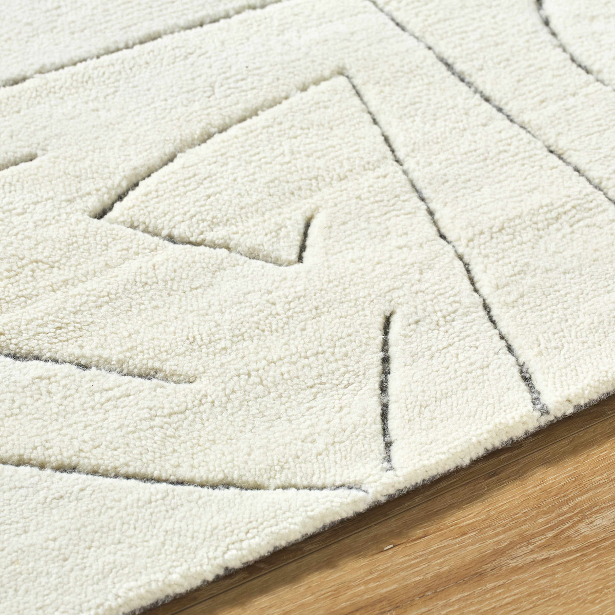 Mony Charcoal Area Rug