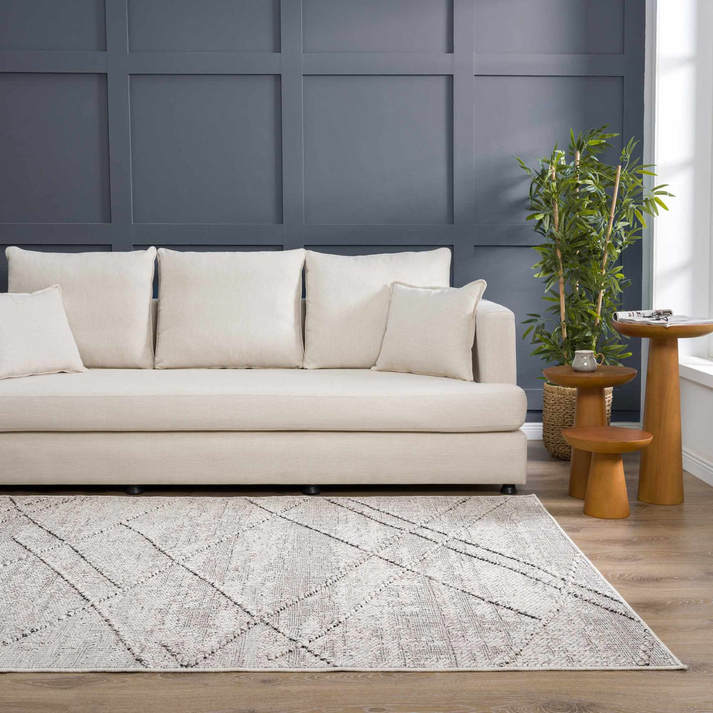 Baqer Bone & Taupe Textured Performance Outdoor Rug - Clearance