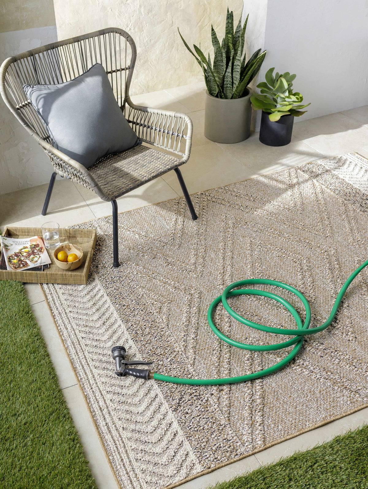Beige Areli Outdoor Area Rug