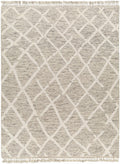 Brian Area Rug - Clearance
