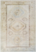Tarun Area Rug
