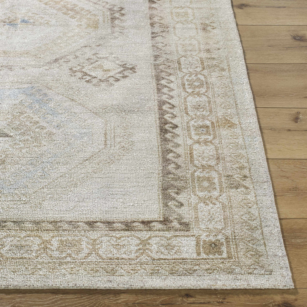Tarun Area Rug