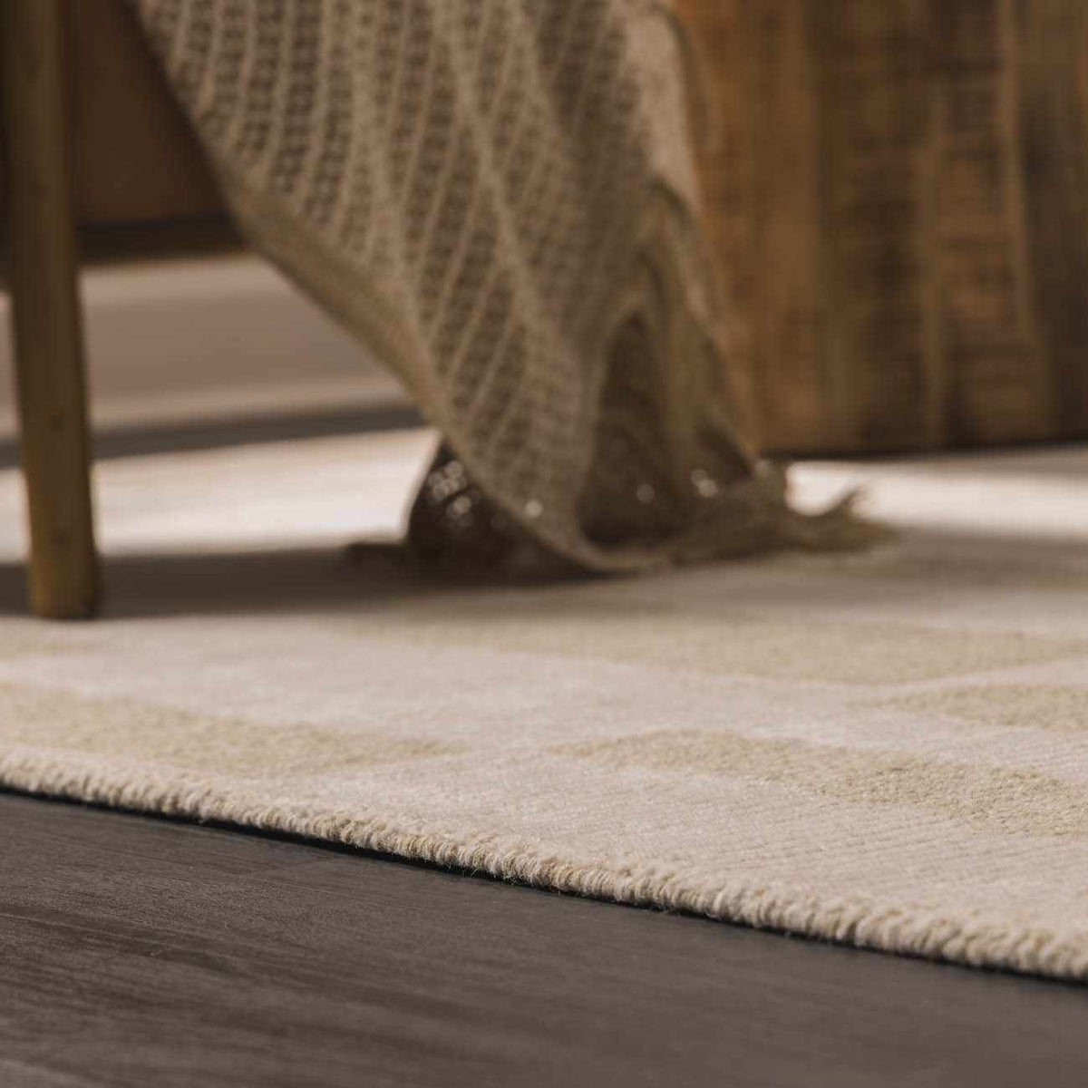 Teige Light Silver Area Rug