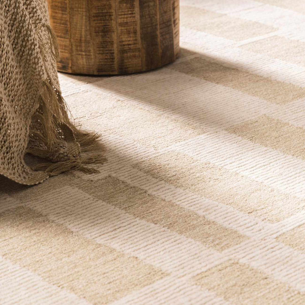 Teige Light Silver Area Rug