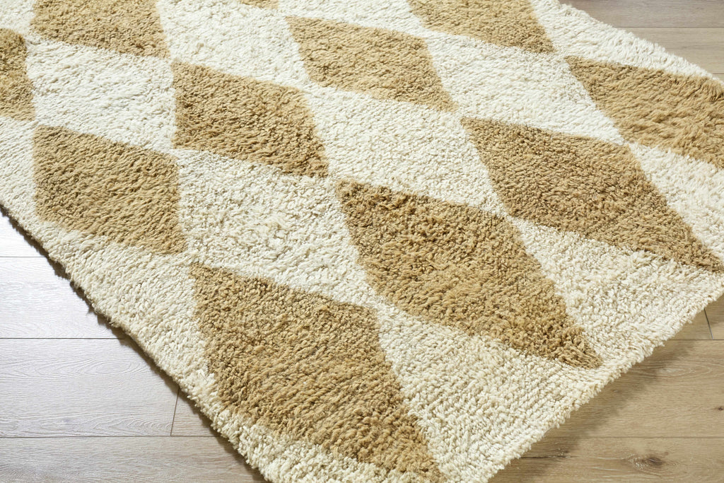 Tivka Diamond Checkered Wool Rug