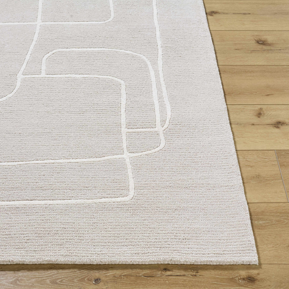 Vatsa Gray Abstract Area Rug