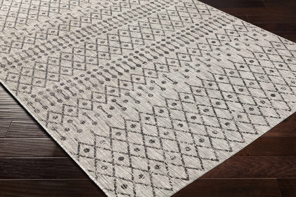 Wallkill Outdoor Area Rug
