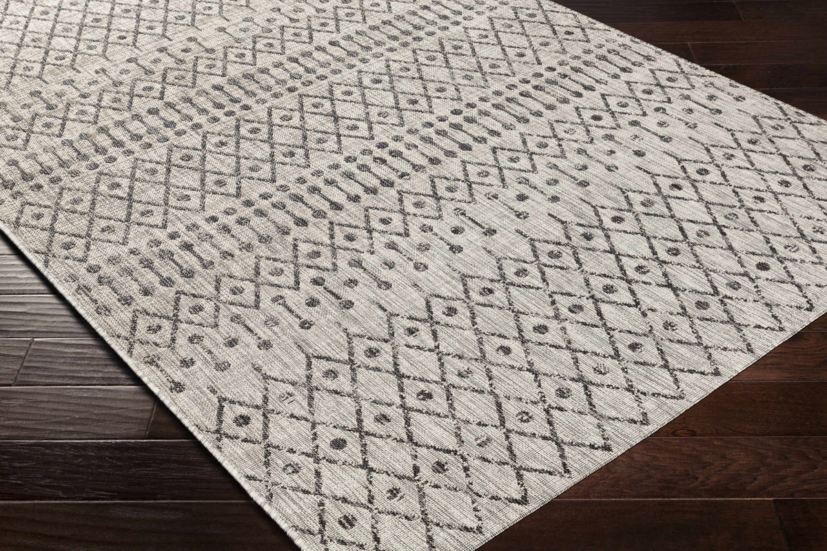 Wallkill Outdoor Area Rug