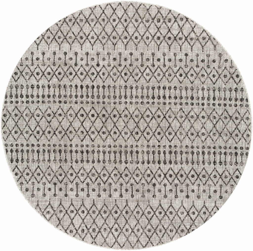 Wallkill Outdoor Area Rug
