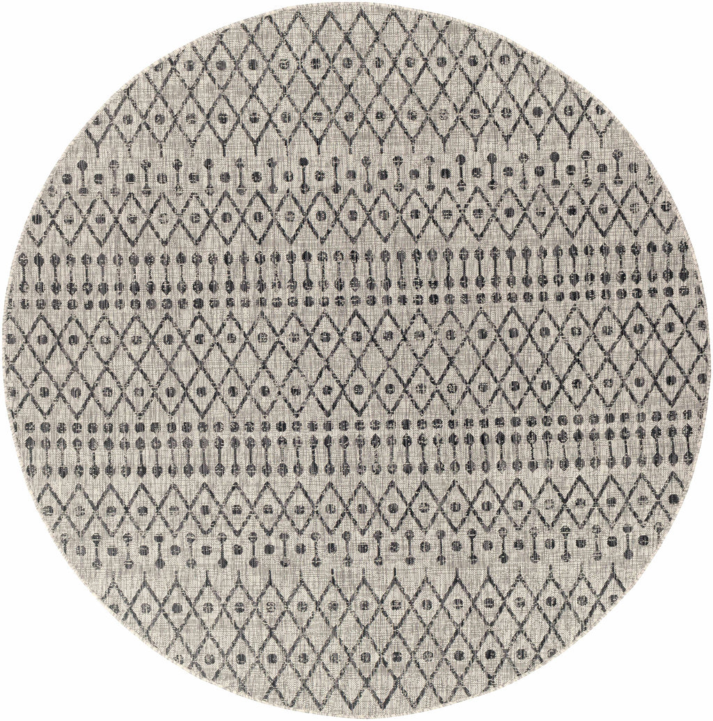 Wallkill Outdoor Area Rug