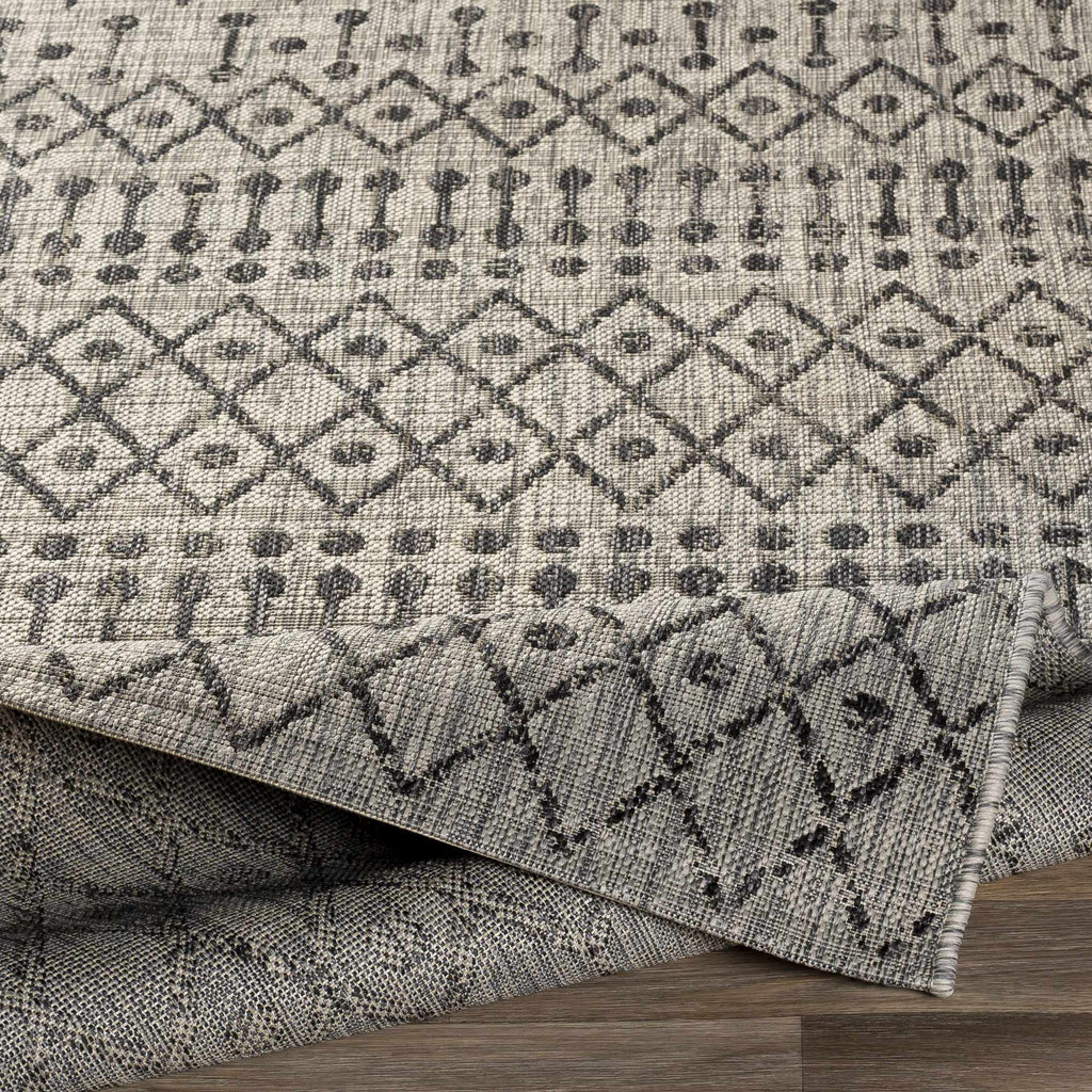 Wallkill Outdoor Area Rug