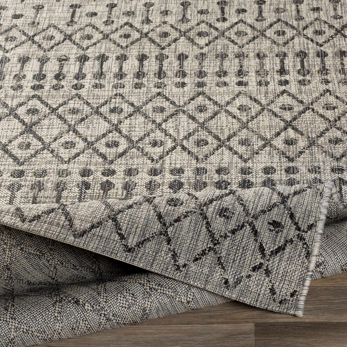 Wallkill Outdoor Area Rug