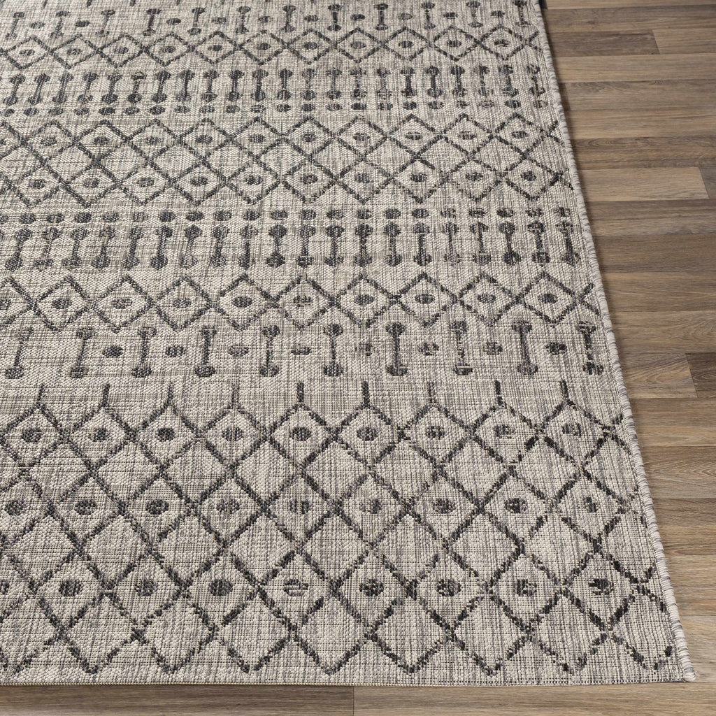 Wallkill Outdoor Area Rug