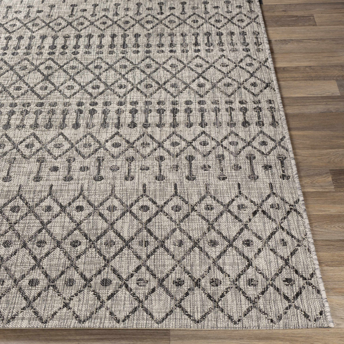 Wallkill Outdoor Area Rug