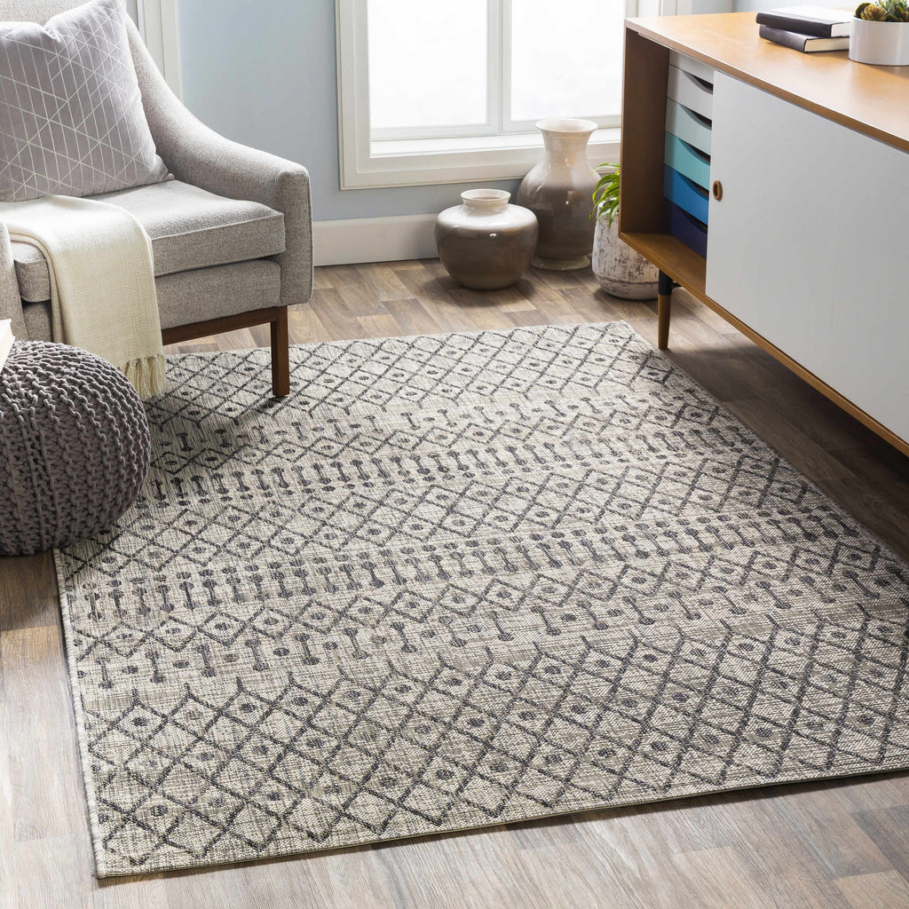 Wallkill Outdoor Area Rug
