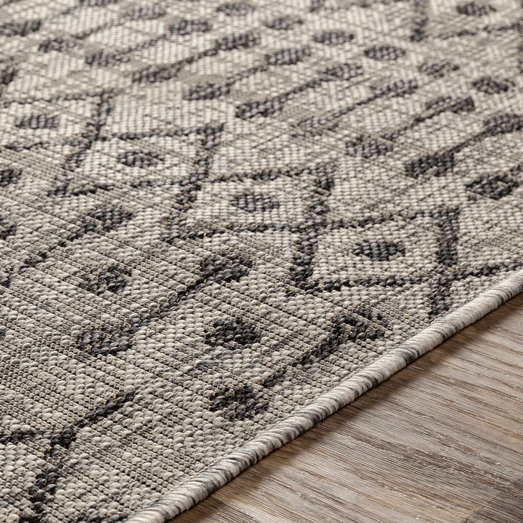 Wallkill Outdoor Area Rug