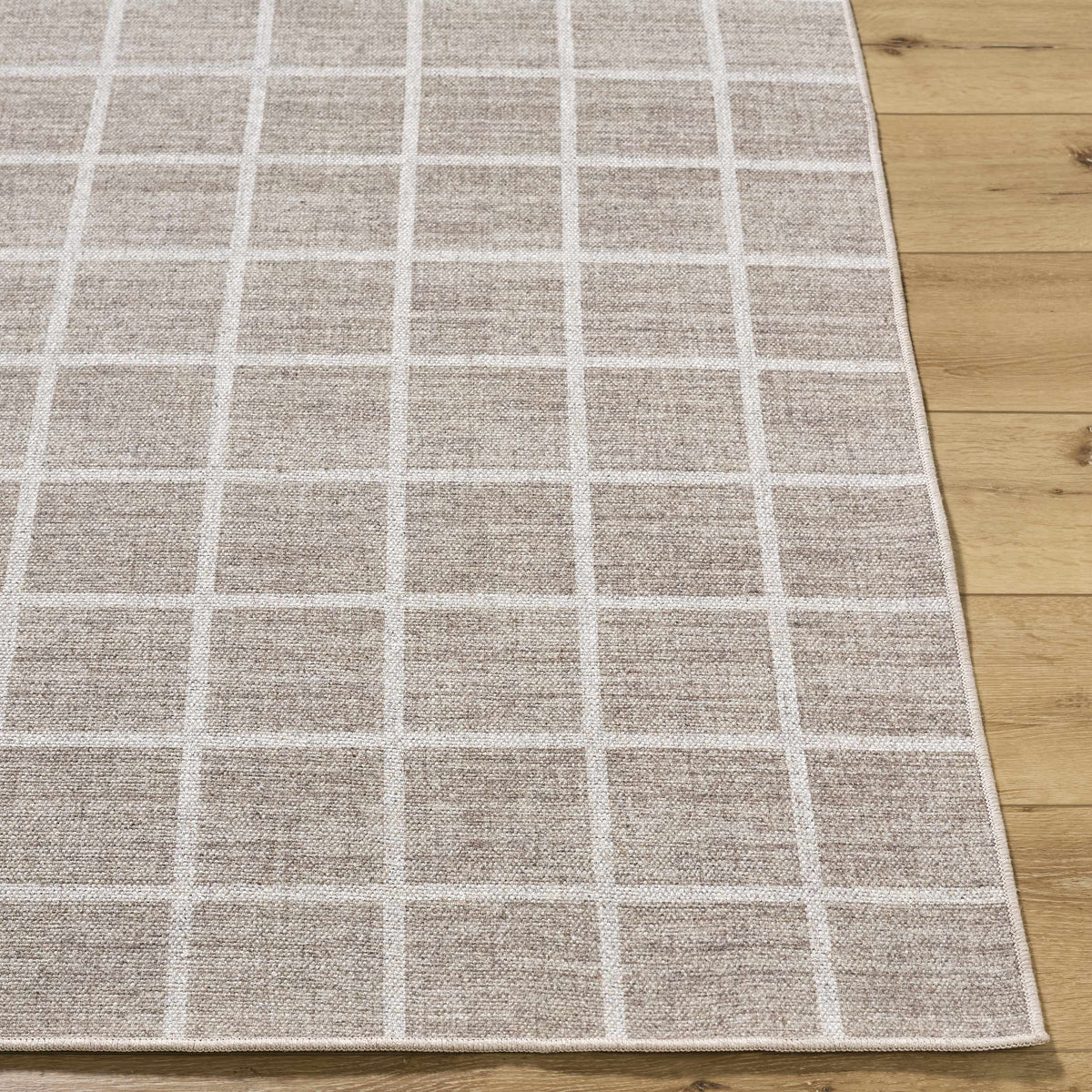 Anicet Checkered Washable Wool Area Rug